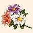 bouquet.jpg (5835 bytes)